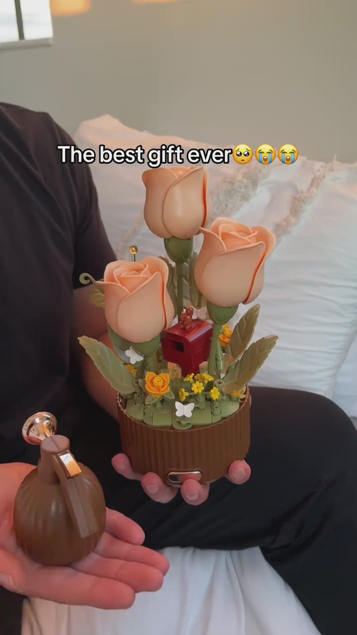 Charger la vidéo : 